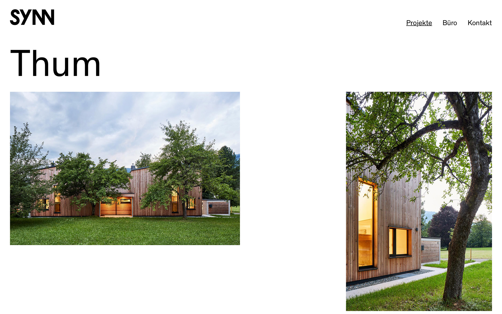 Synn projekte thum 01