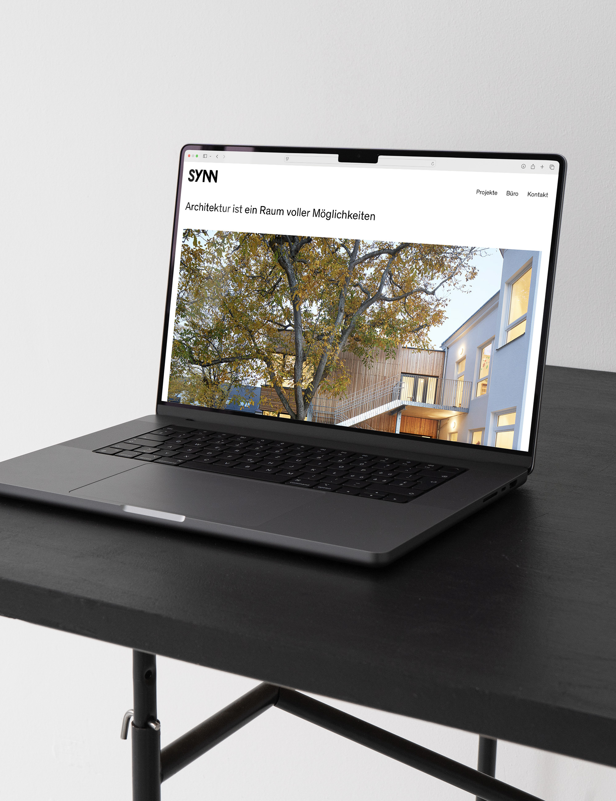 Synn website scene 03b